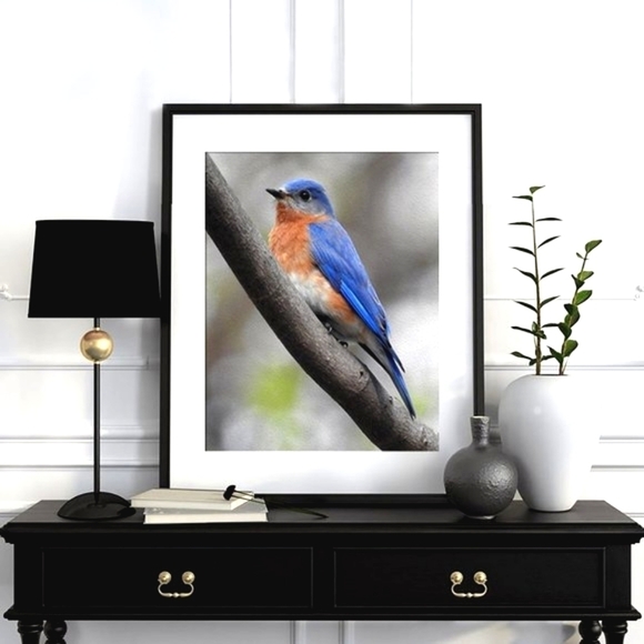 8x10 Eastern Bluebird Photography Oil‎ Painting Print - Picture 1 of 5